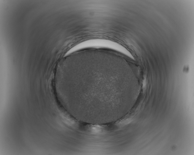 X0000096160229200802011303