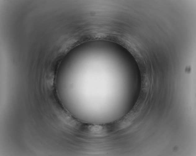 X0000096160230200802011303