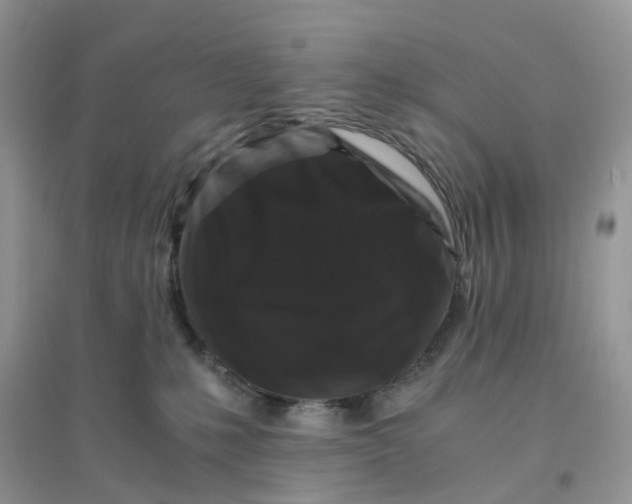 X0000096160231200802011303