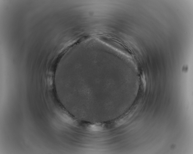 X0000096160232200802011303