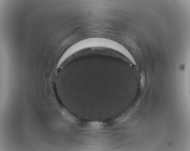 X0000096160233200802011303