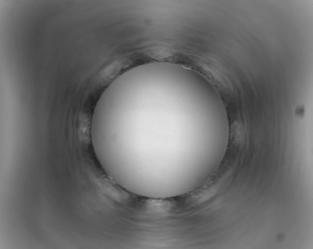 X0000096160234200802011303