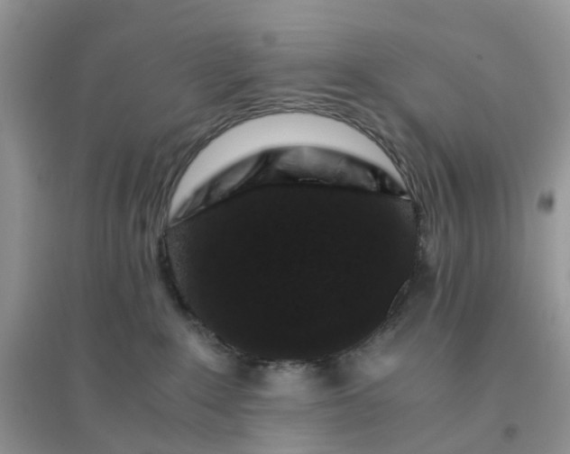 X0000096160235200802011303