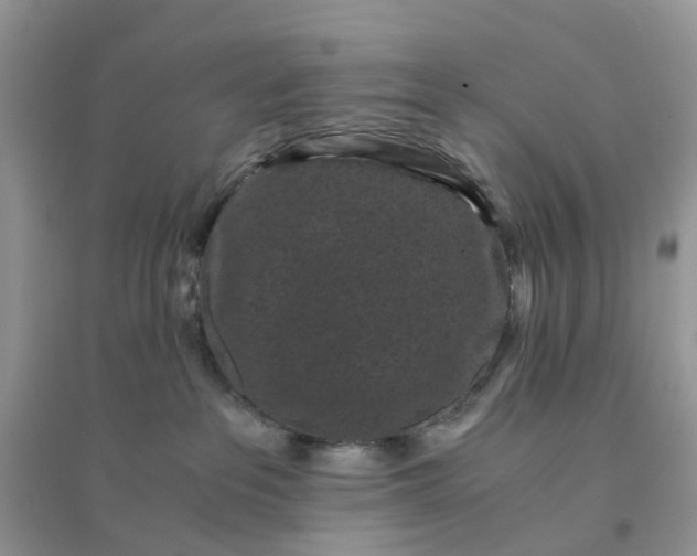 X0000096160237200802011303