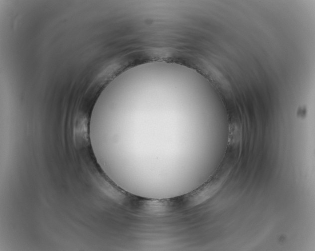 X0000096160238200802011303