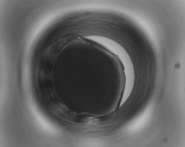 X0000096160239200802011303