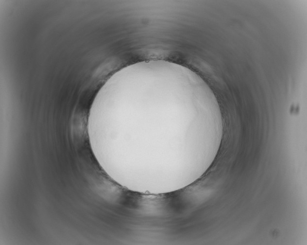 X0000096160240200802011303