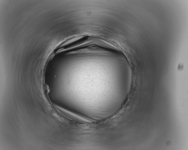 X0000096160241200802011302