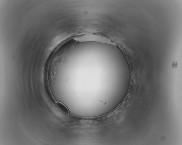 X0000096160242200802011302