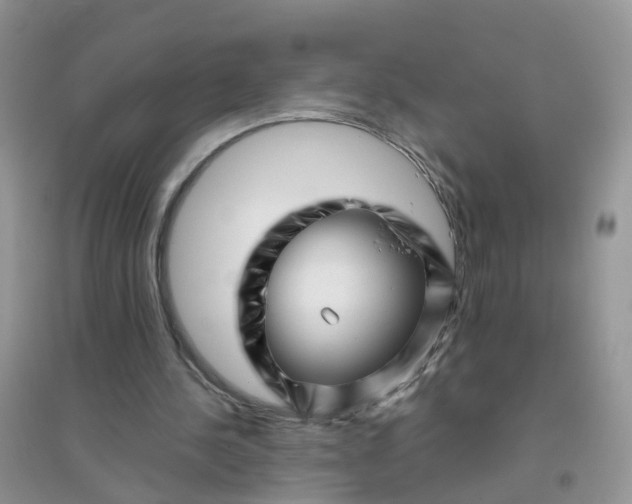 X0000096160244200802011302