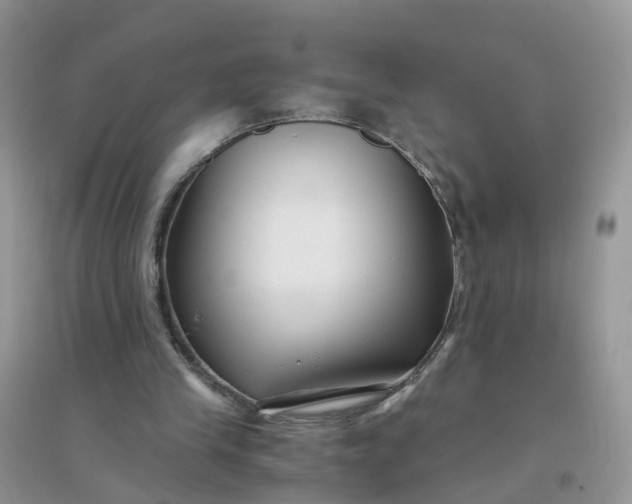 X0000096160245200802011302