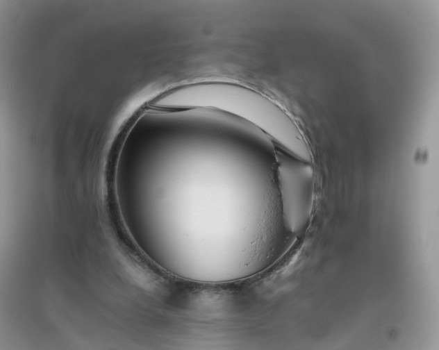 X0000096160248200802011302