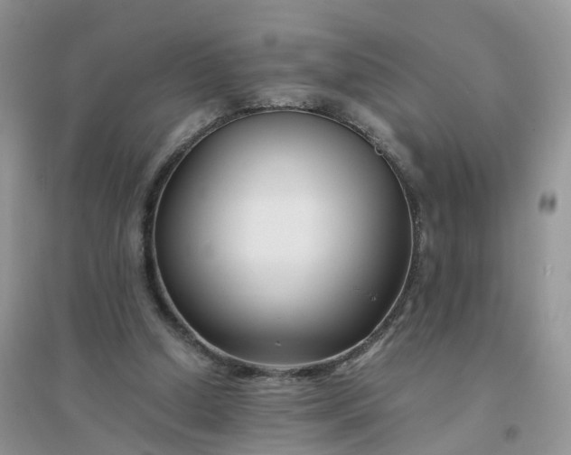 X0000096160250200802011302