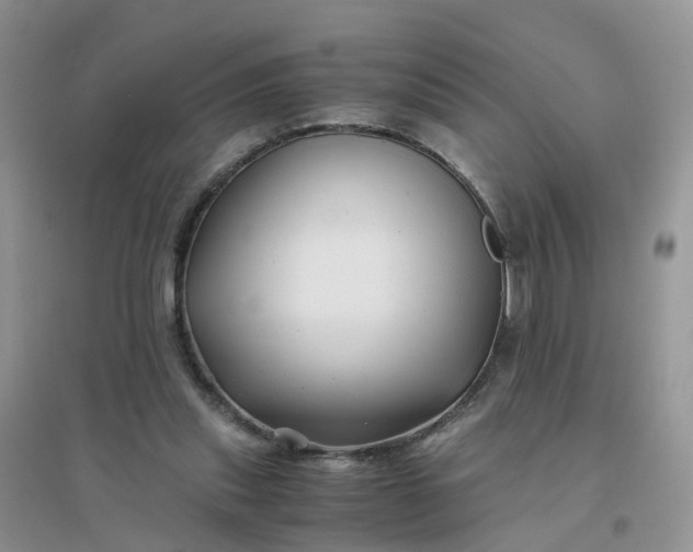 X0000096160253200802011302