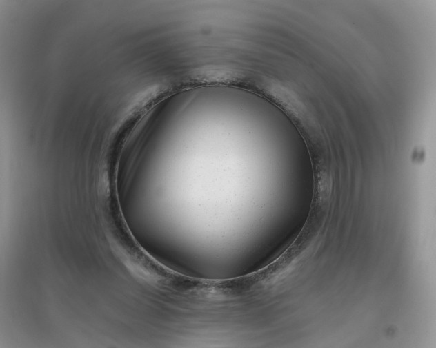 X0000096160254200802011302