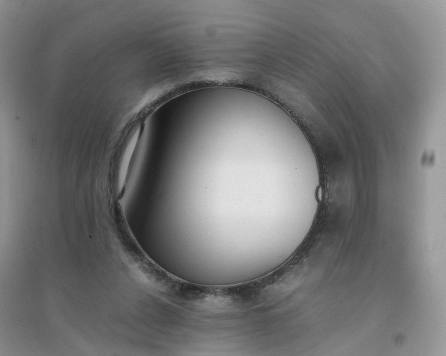 X0000096160256200802011302