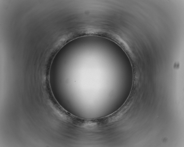 X0000096160257200802011302