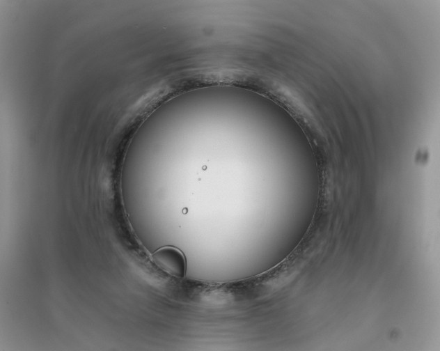 X0000096160258200802011302