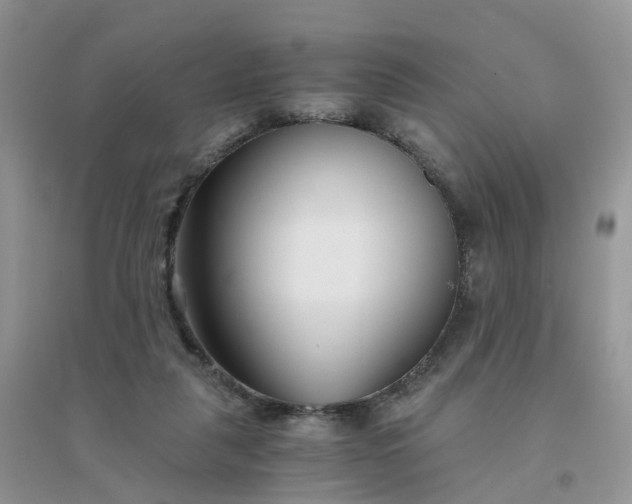 X0000096160259200802011302