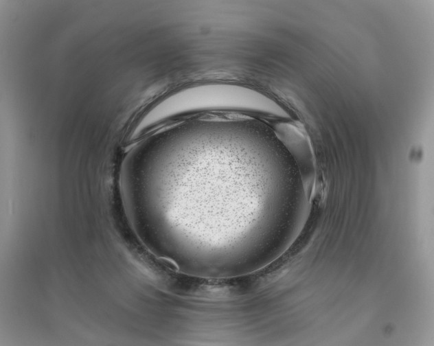 X0000096160260200802011302