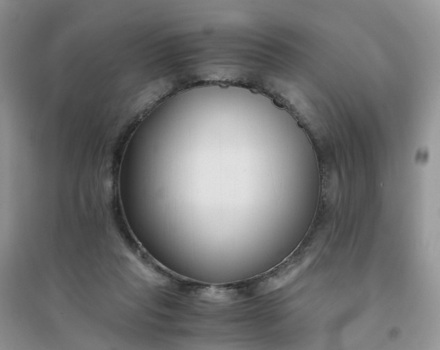 X0000096160261200802011302