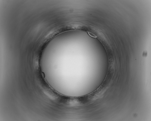 X0000096160262200802011302