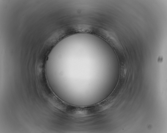 X0000096160263200802011302