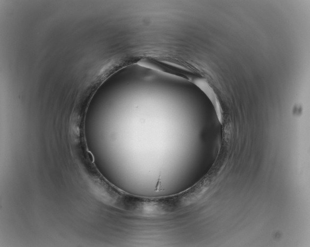 X0000096160264200802011302