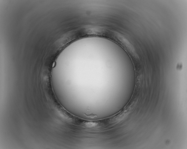 X0000096160265200802011302