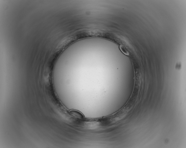 X0000096160266200802011302