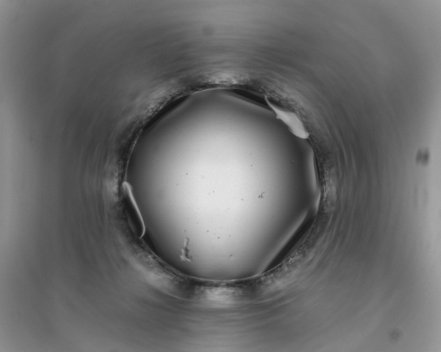 X0000096160268200802011302