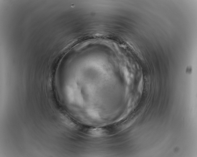 X0000096160269200802011302