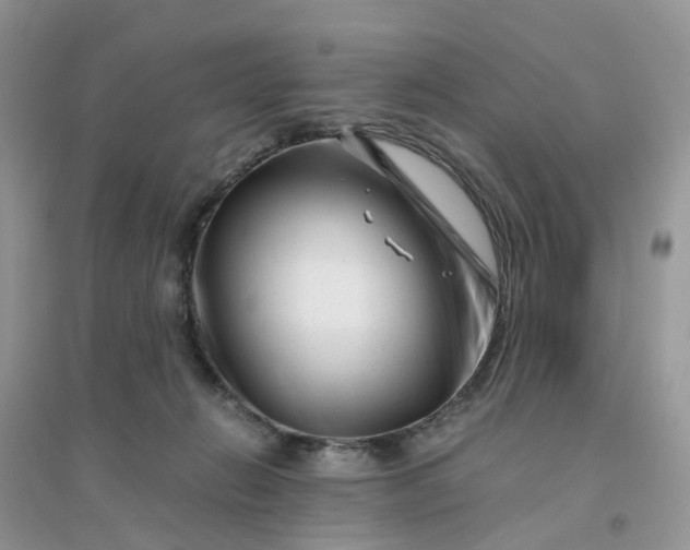 X0000096160270200802011302