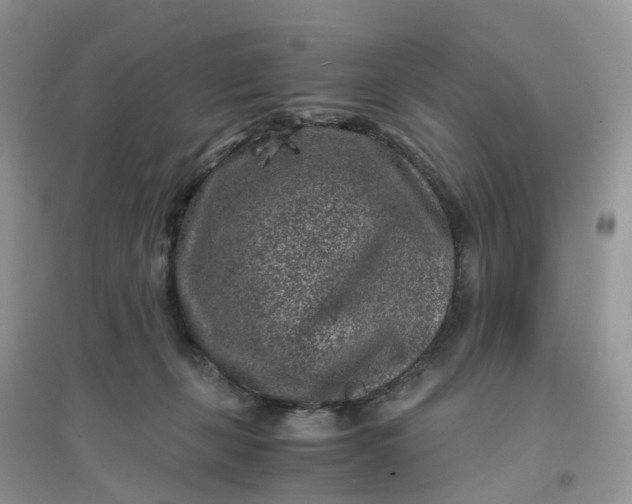 X0000096160271200802011302