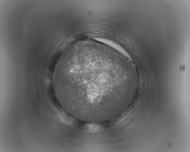 X0000096160272200802011302