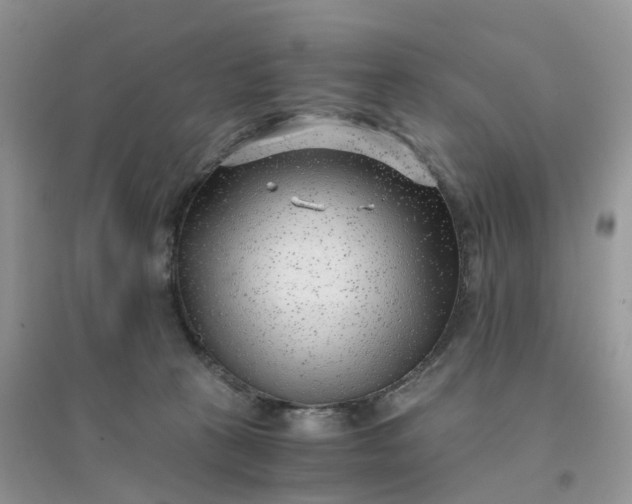 X0000096160273200802011302