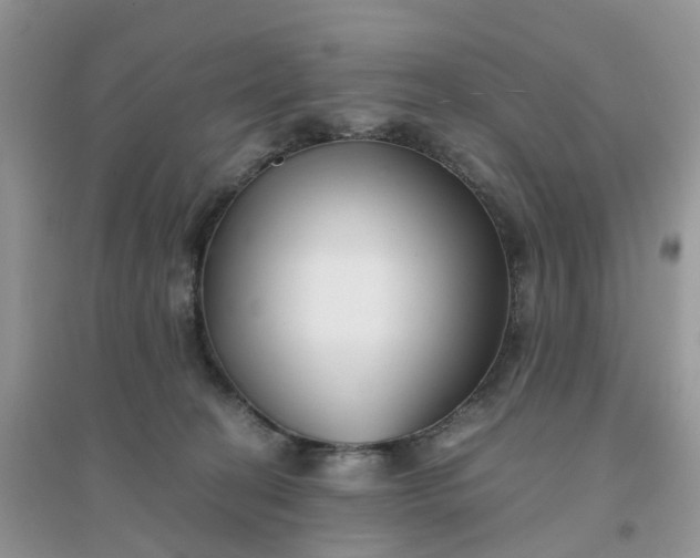 X0000096160274200802011302