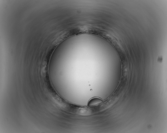 X0000096160275200802011302