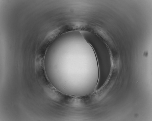 X0000096160276200802011302