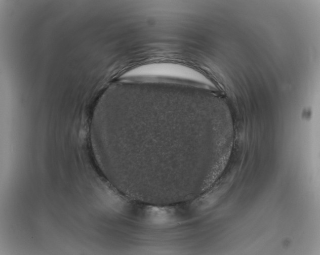 X0000096160277200802011302