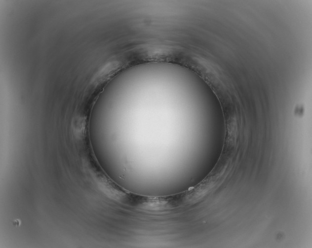 X0000096160278200802011302