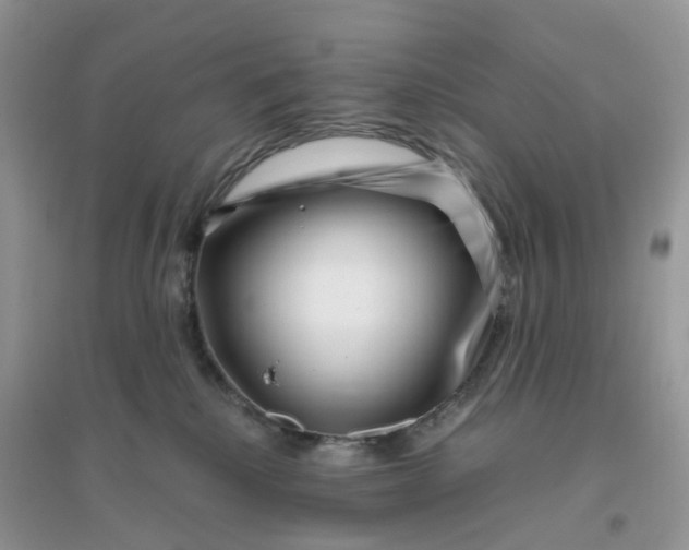 X0000096160280200802011302