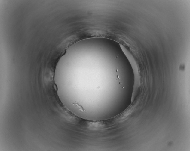 X0000096160281200802011302