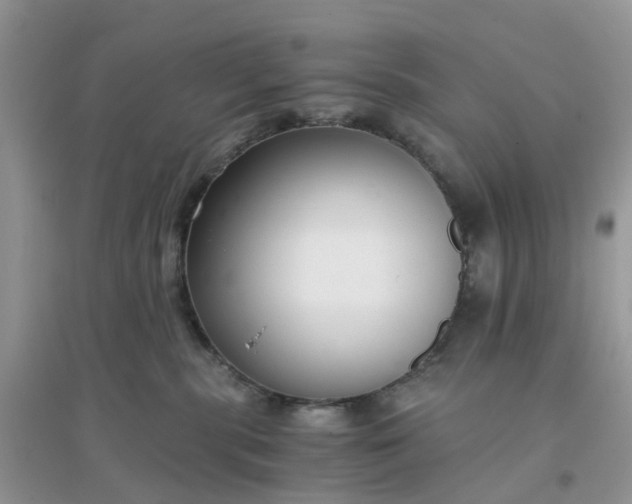 X0000096160283200802011302