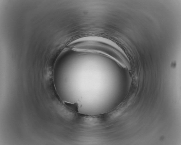 X0000096160284200802011302