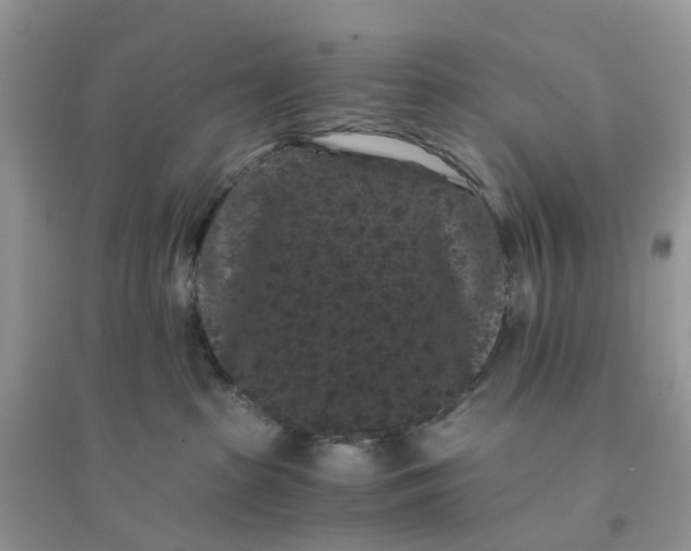 X0000096160285200802011302