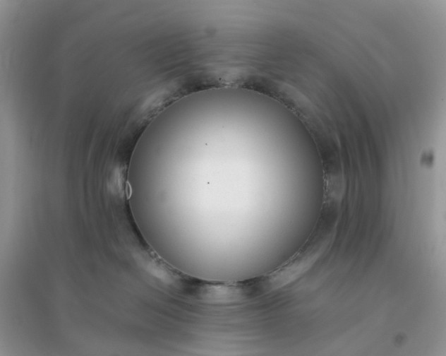 X0000096160286200802011302