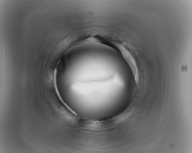 X0000096160288200802011303