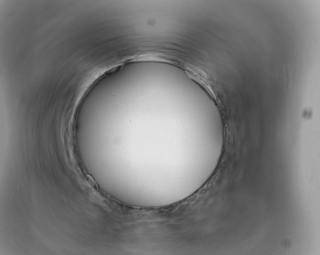 X0000096160289200802011302