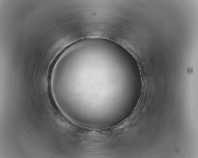 X0000096160290200802011302